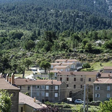 Terrasse De Malbeccu Villa Casamaccioli Екстериор снимка