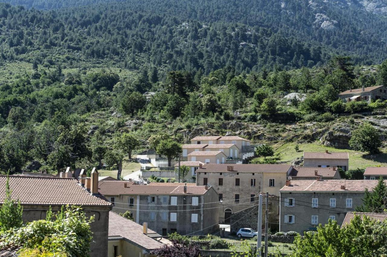 Terrasse De Malbeccu Villa Casamaccioli Екстериор снимка